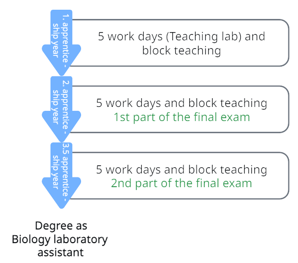 Graphic Course Training Biology laboratory assistant Graphic Course Training Biology laboratory assistant